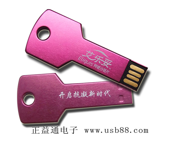 我有我的范兒,拉絲不銹鋼鑰匙U盤